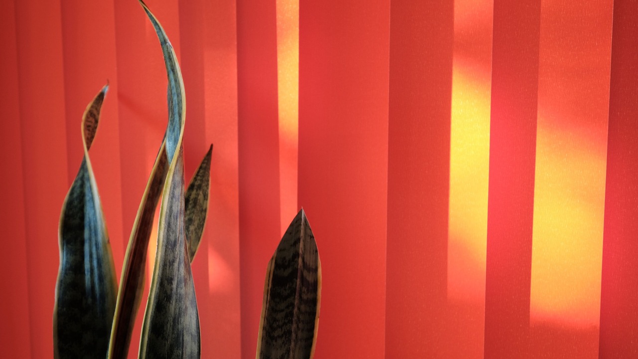 Photo of Others in Cugnaux