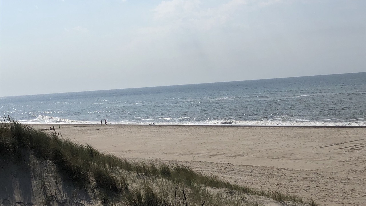 Photo of Others in Harboore