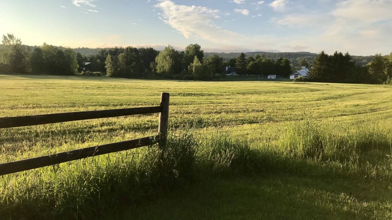 Photo of Others in Stowe Area