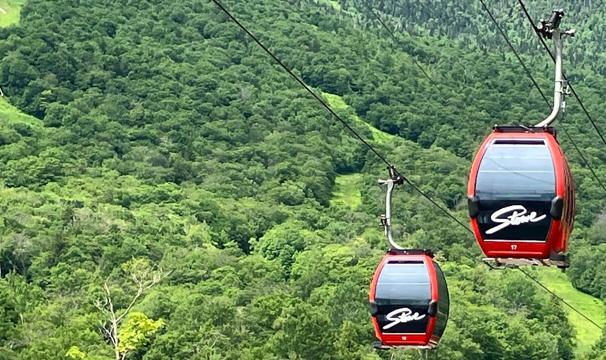 Photo of Others in Stowe Area