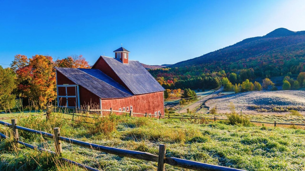 Photo of Others in Stowe Area