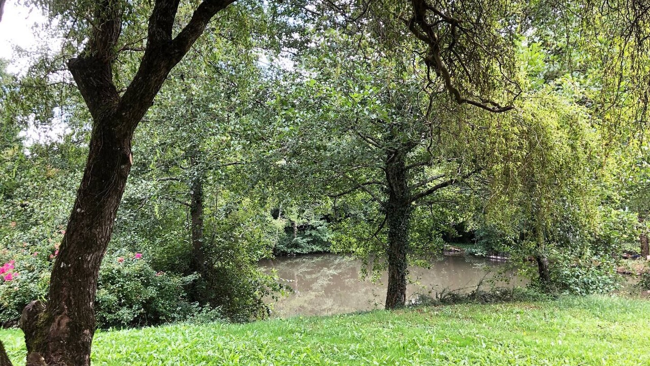 Photo of Outdoor in Boisredon