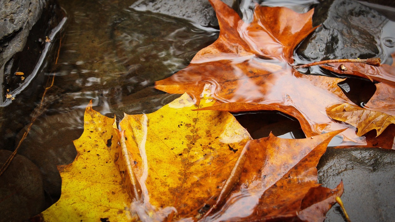 Photo of Others in East Stroudsburg