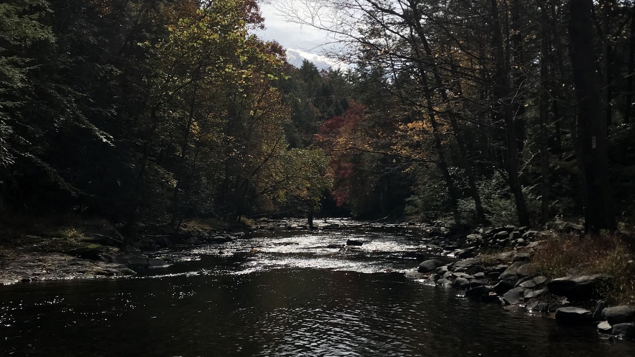 Photo of Others in East Stroudsburg