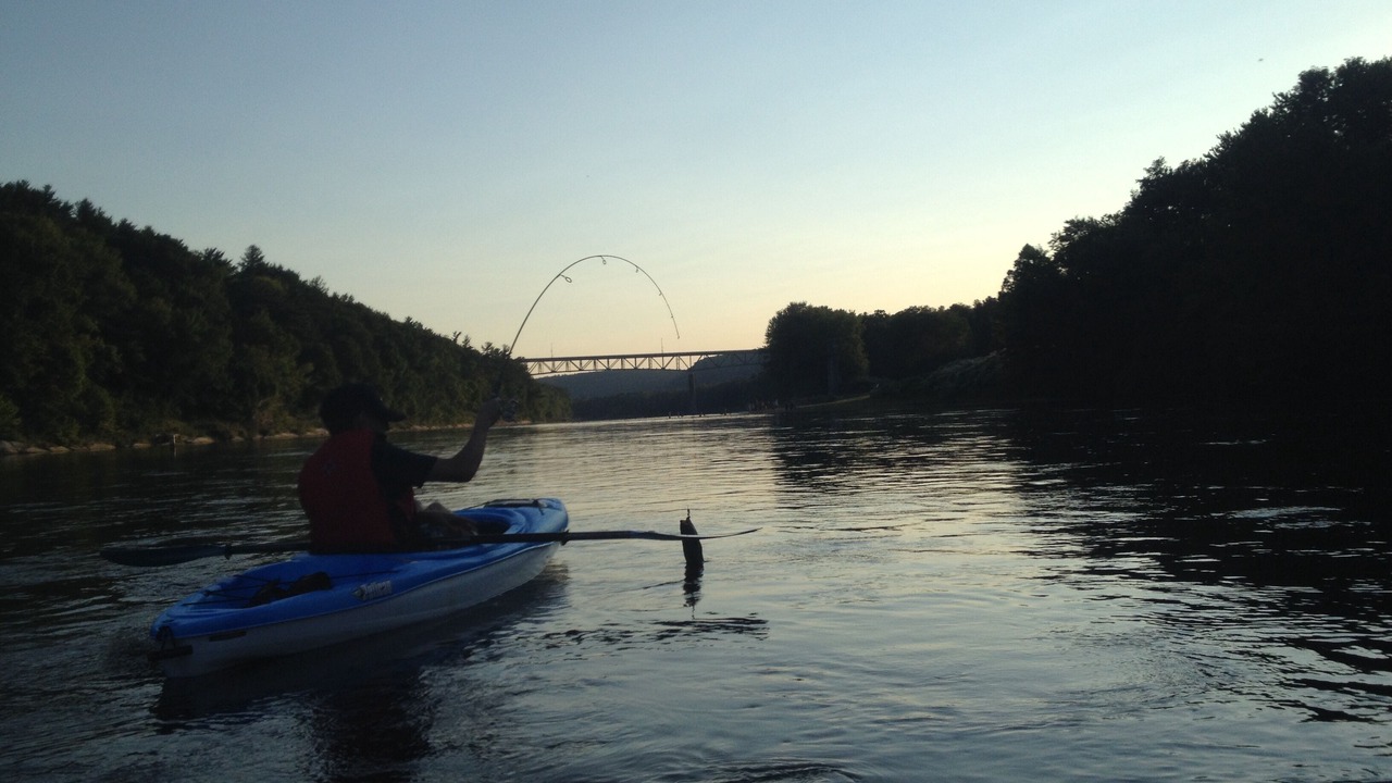 Photo of Others in East Stroudsburg