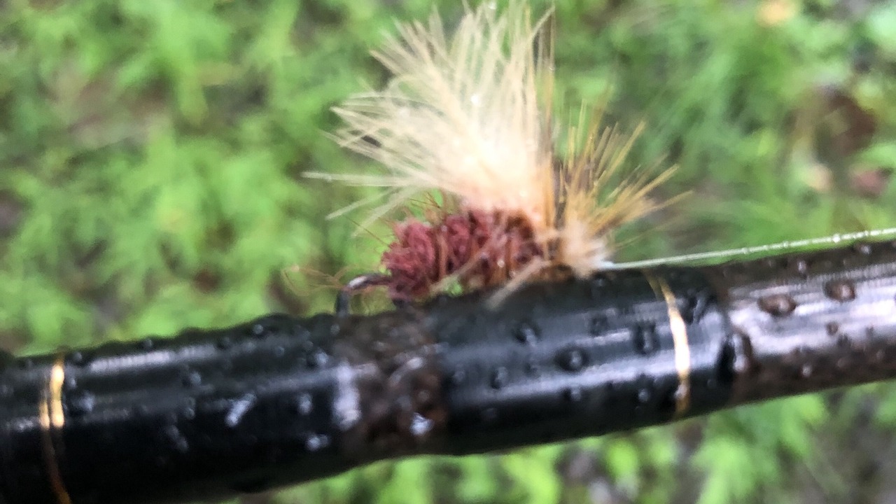 Photo of Others in East Stroudsburg