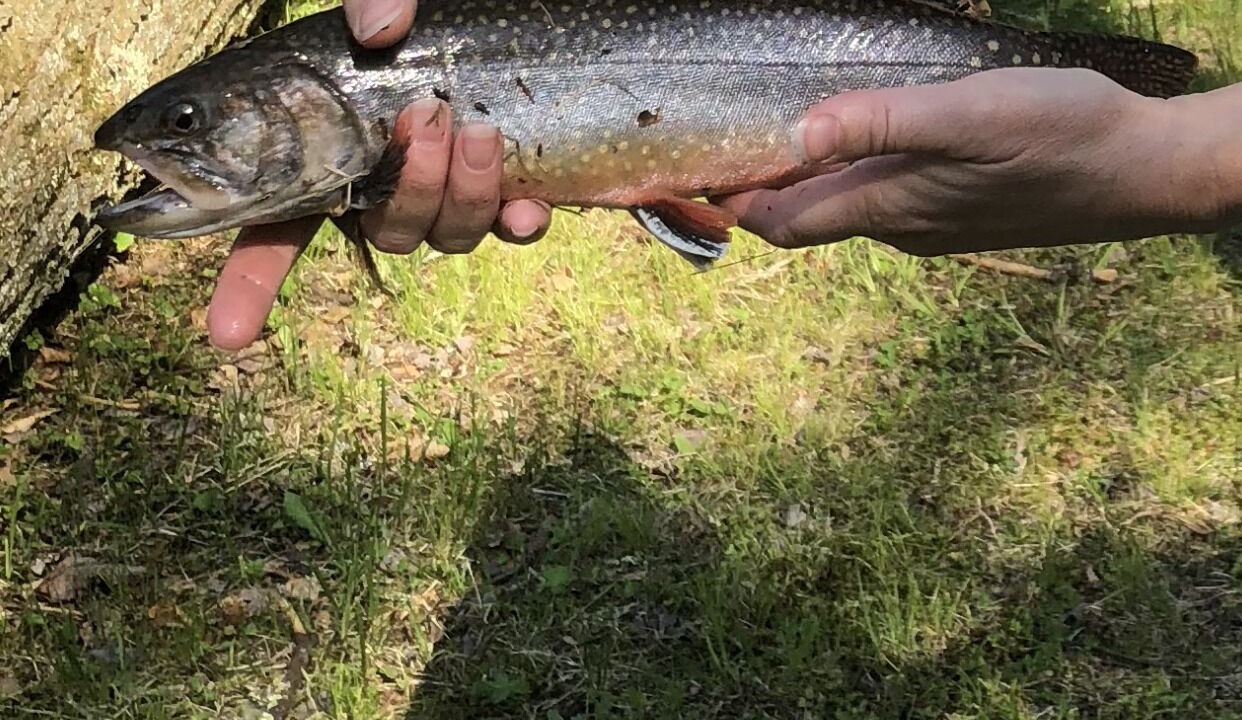 Photo of Others in East Stroudsburg