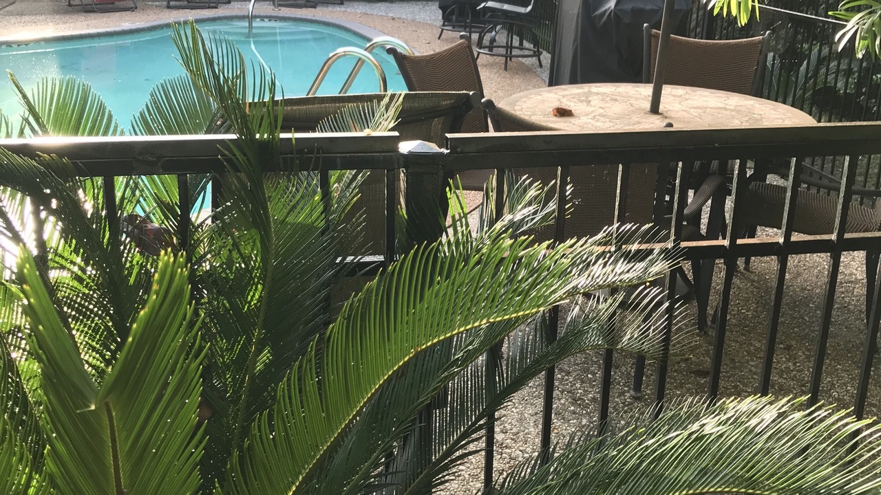 Photo of Outdoor in Garden Oaks