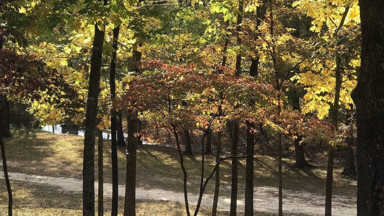 Photo of Outdoor in Marble Falls