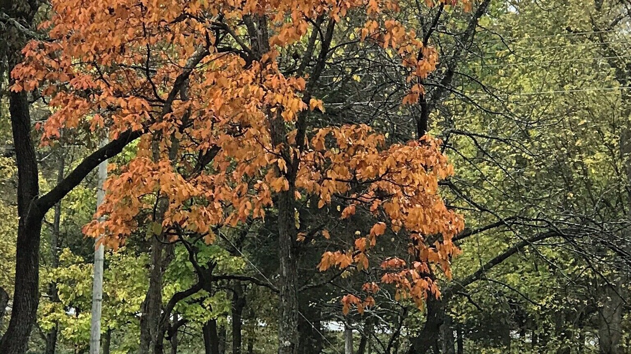 Photo of Outdoor in Marble Falls