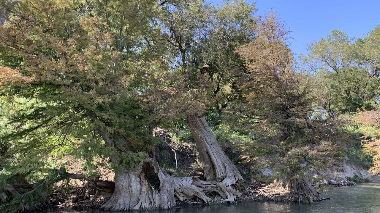Photo of Others in Boerne