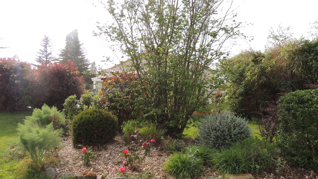 Photo of Outdoor in Saint-Mathurin