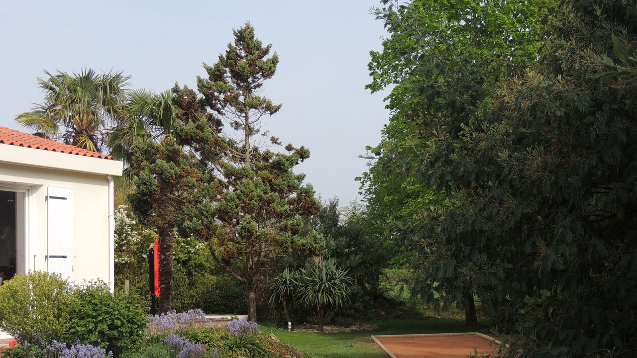 Photo of Outdoor in Saint-Mathurin