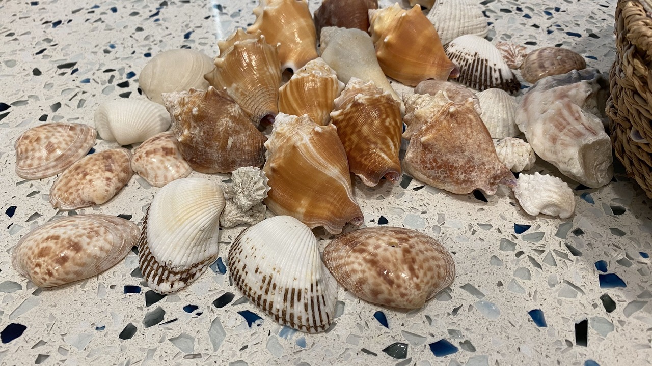 Photo of Others in Golden Beach