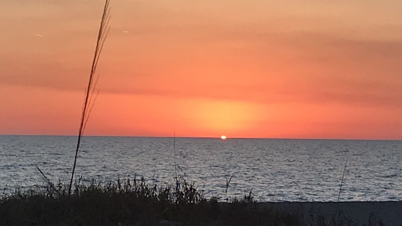Photo of Others in Golden Beach