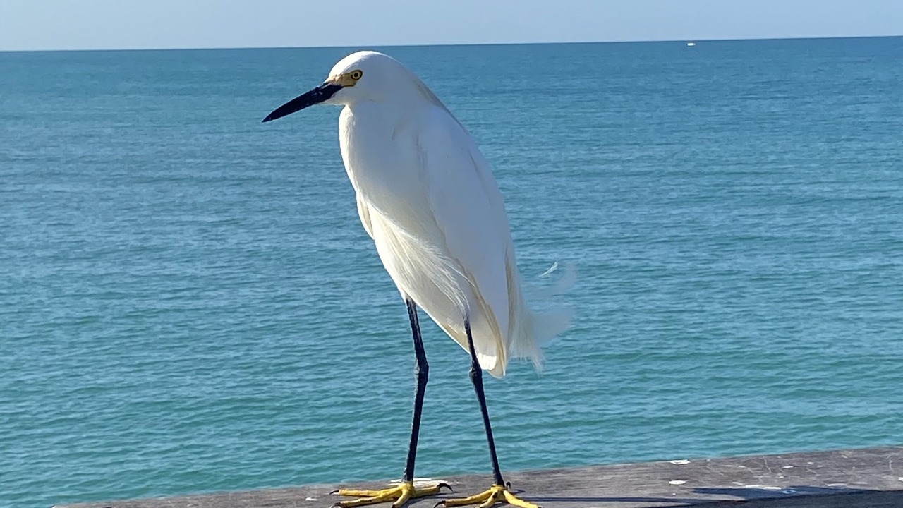 Photo of Others in Golden Beach