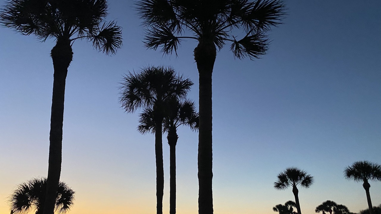 Photo of Others in Golden Beach