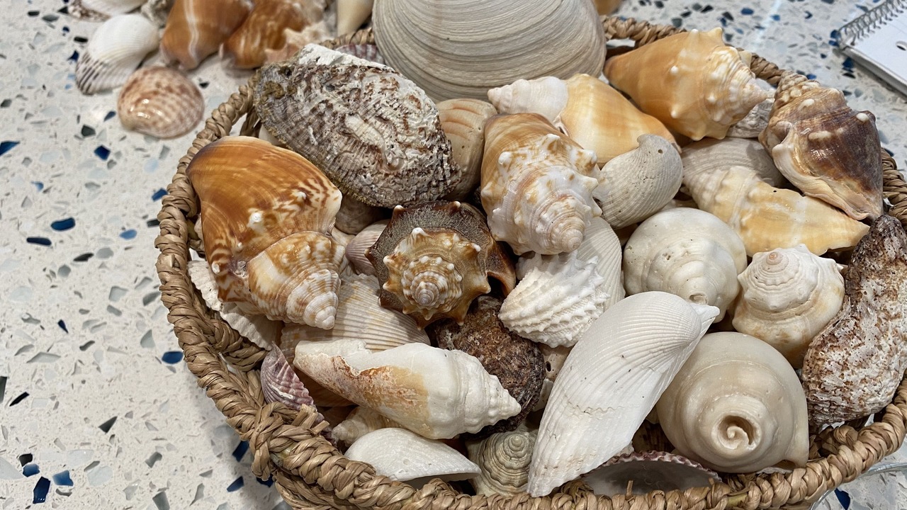 Photo of Others in Golden Beach