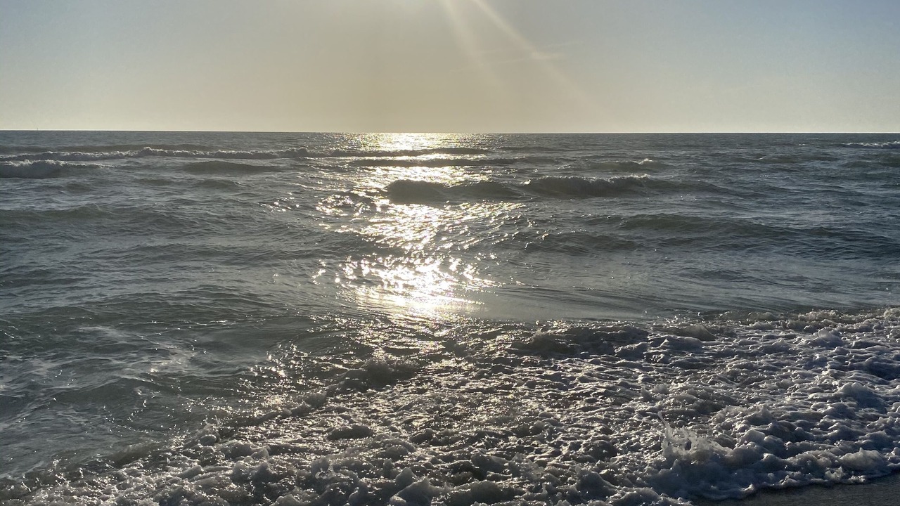 Photo of Others in Golden Beach