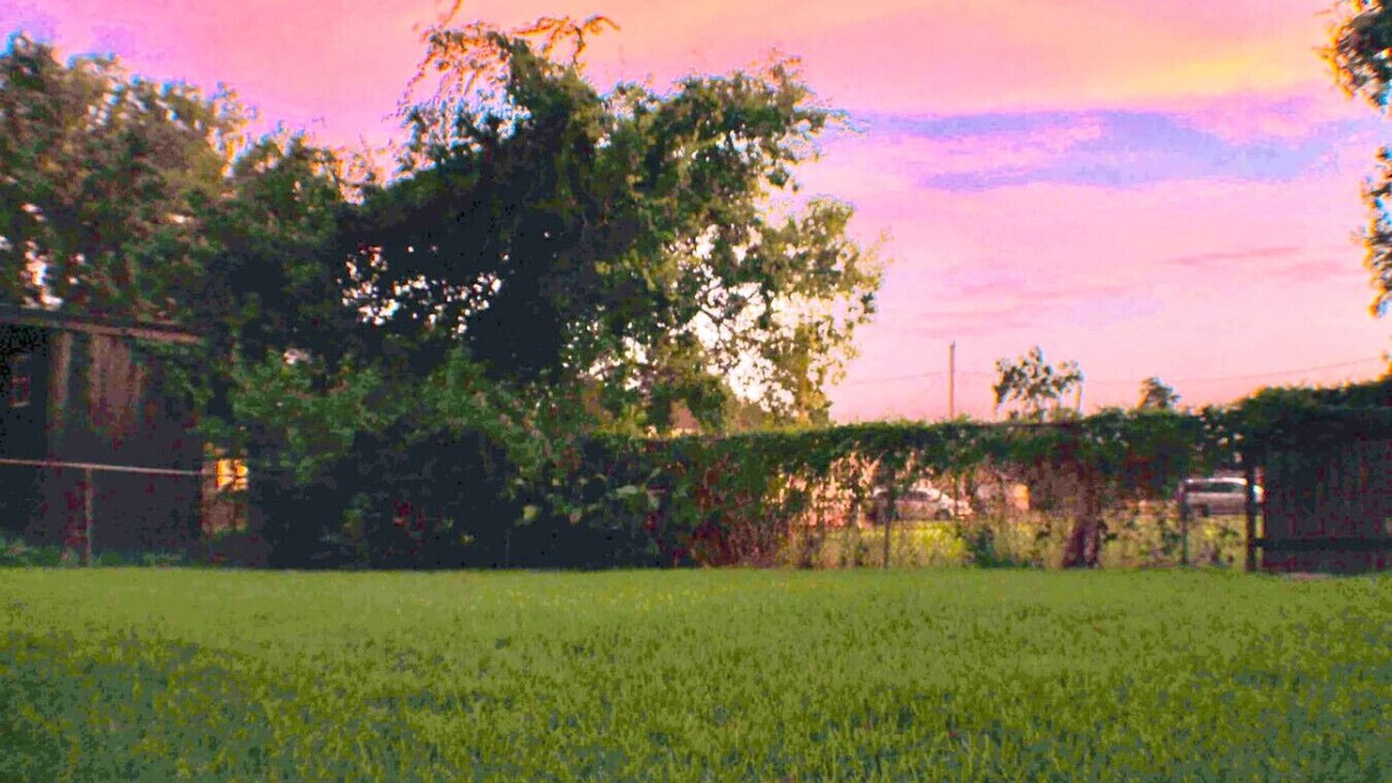 Photo of Others in Harahan