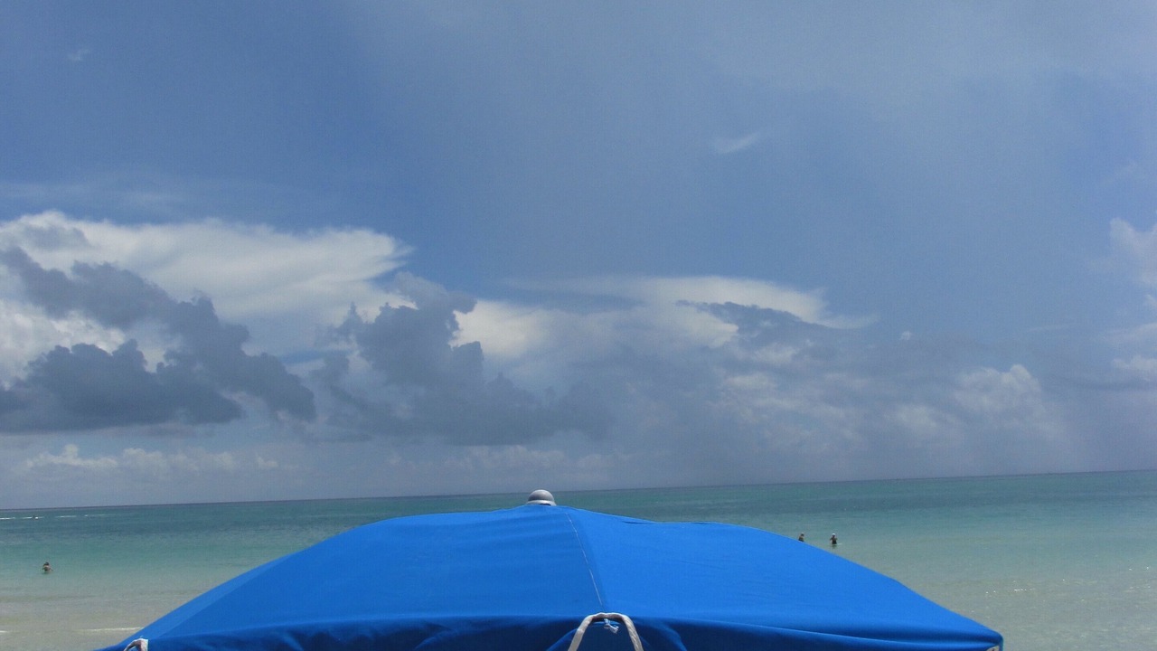 Photo of Others in Mid Beach