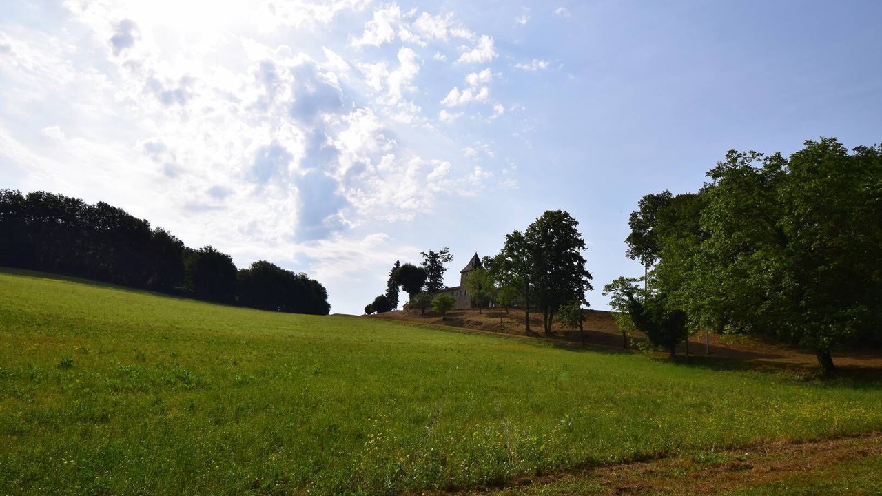Photo of Others in Blanquefort-sur-Briolance