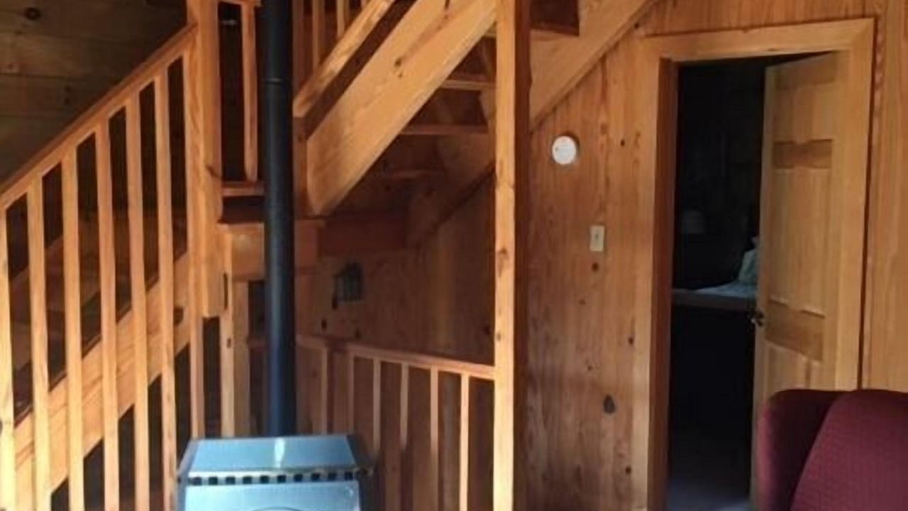 Photo of Livingroom in Nelson