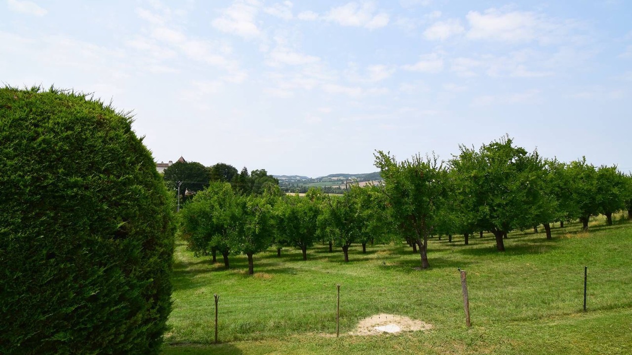 Photo of Others in Tournon-d'Agenais
