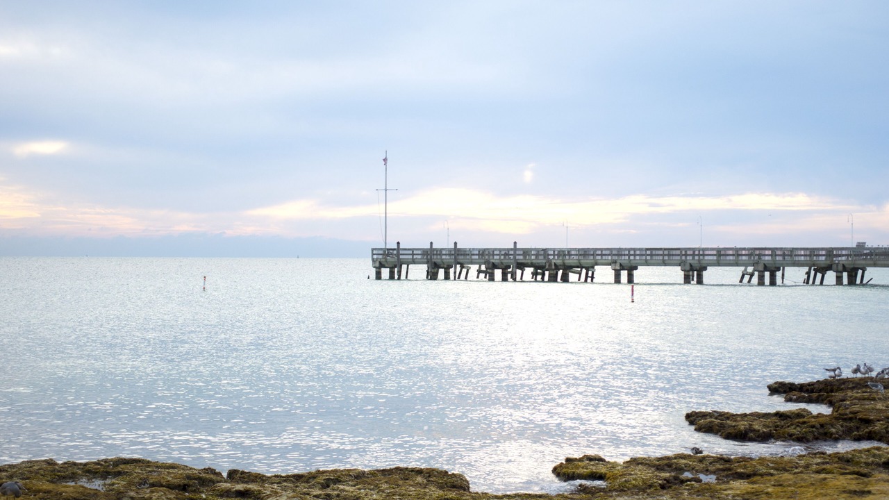 Photo of Others in Big Coppitt Key