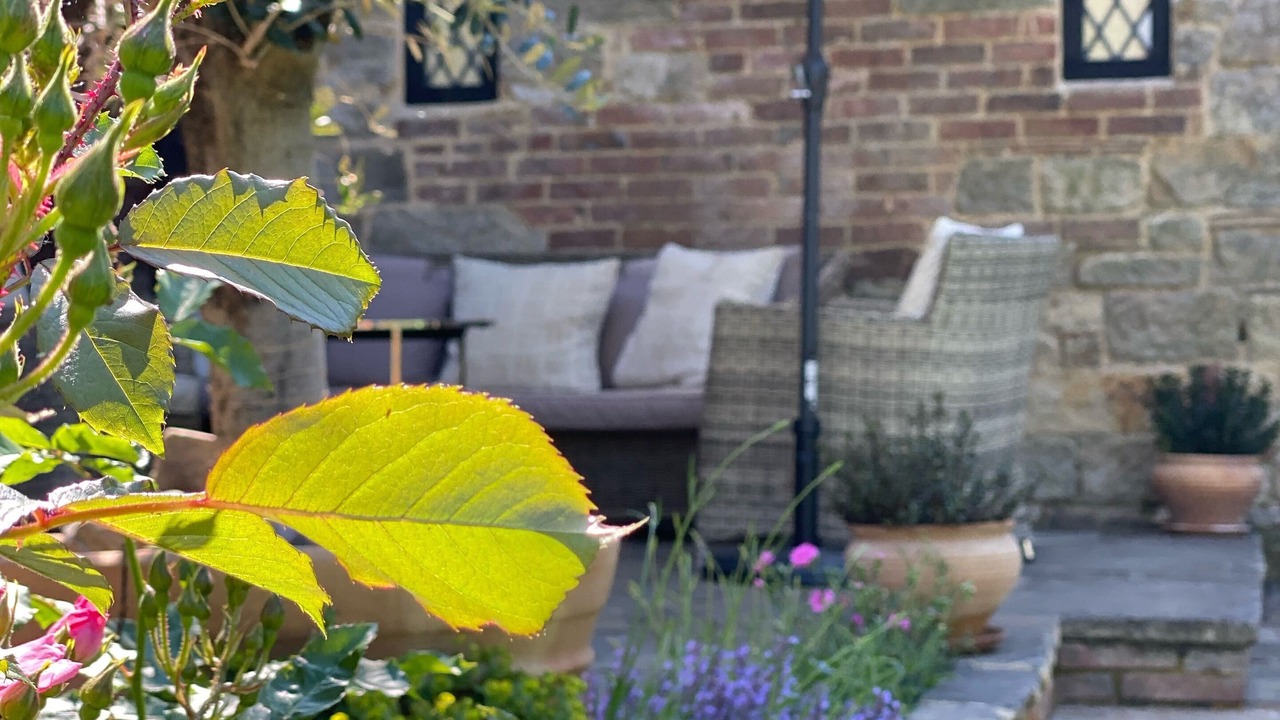 Photo of Outdoor in Forest Row