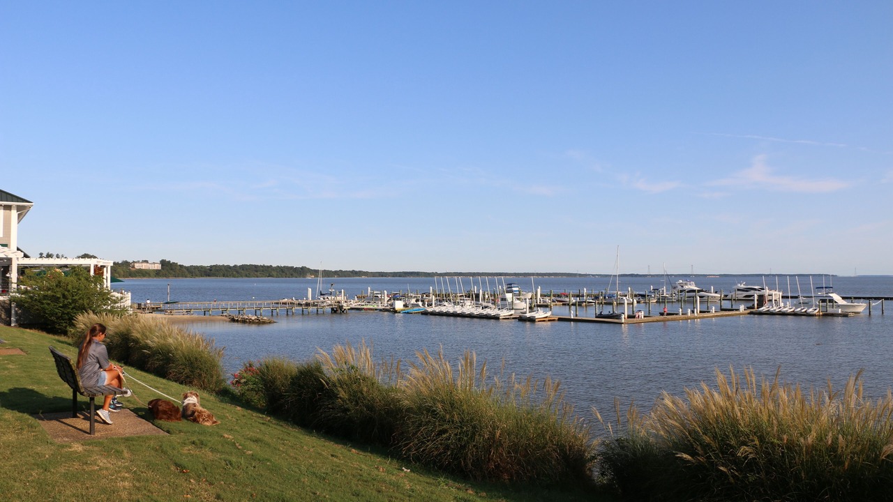 Photo of Others in Kingsmill