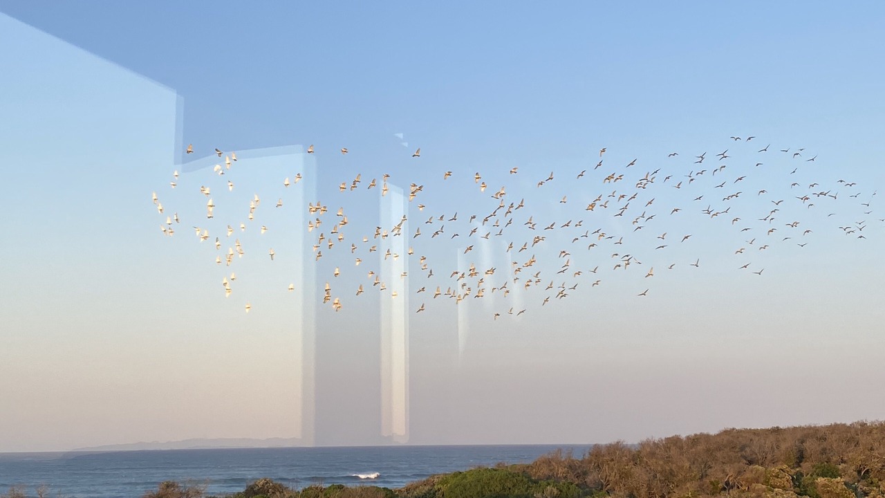 Photo of Others in Harmers Haven