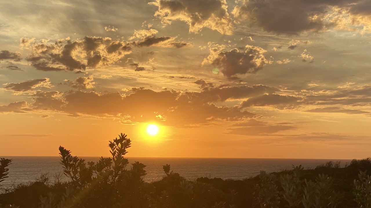 Photo of Others in Harmers Haven