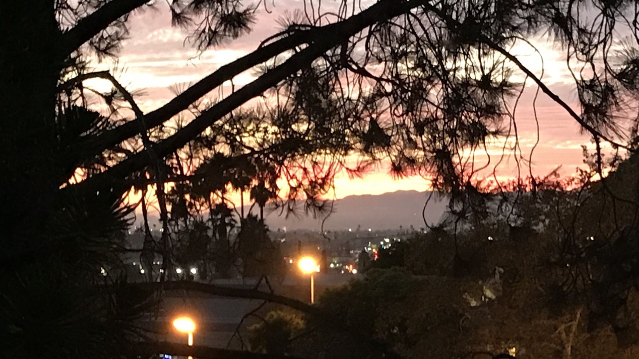 Photo of Outdoor in Silver Lake
