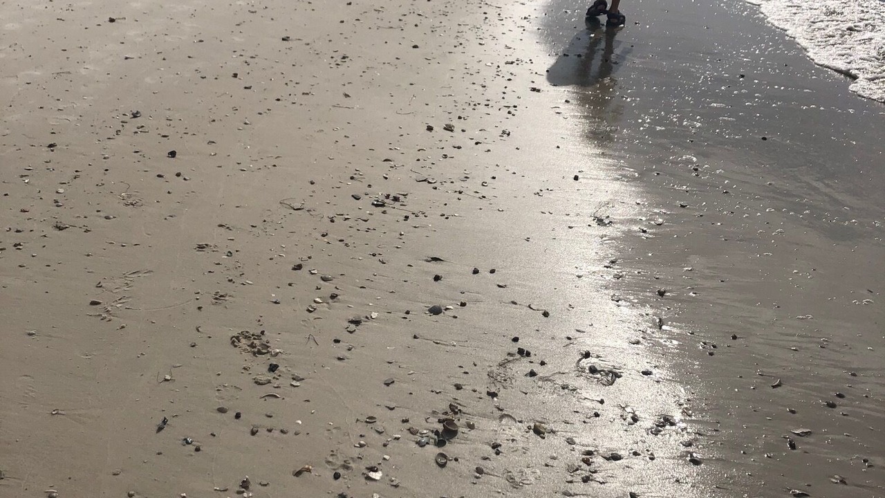 Photo of Others in Alligator Point