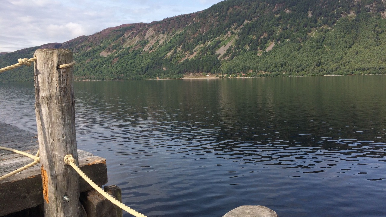 Photo of Others in Inverness