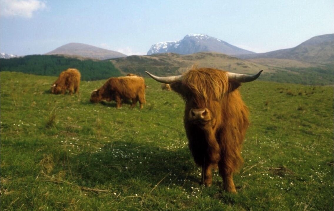 Photo of Outdoor in Inverness