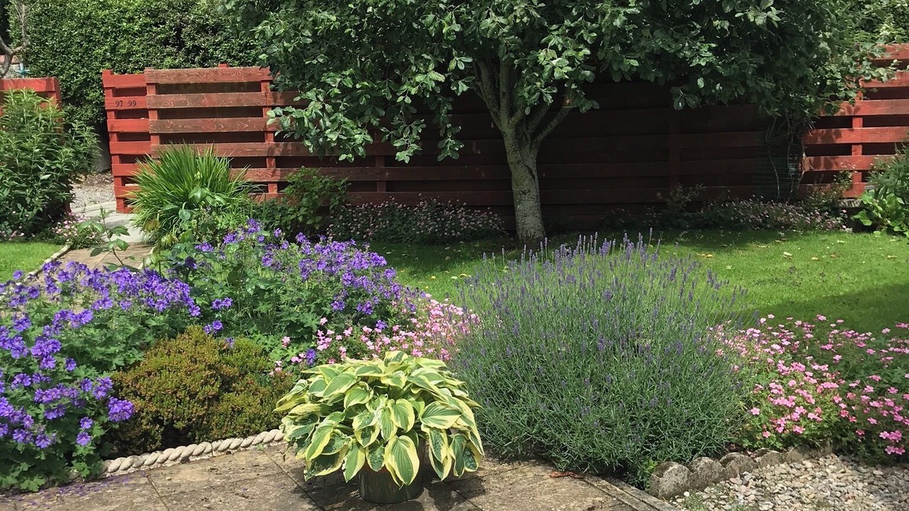 Photo of Others in Inverness