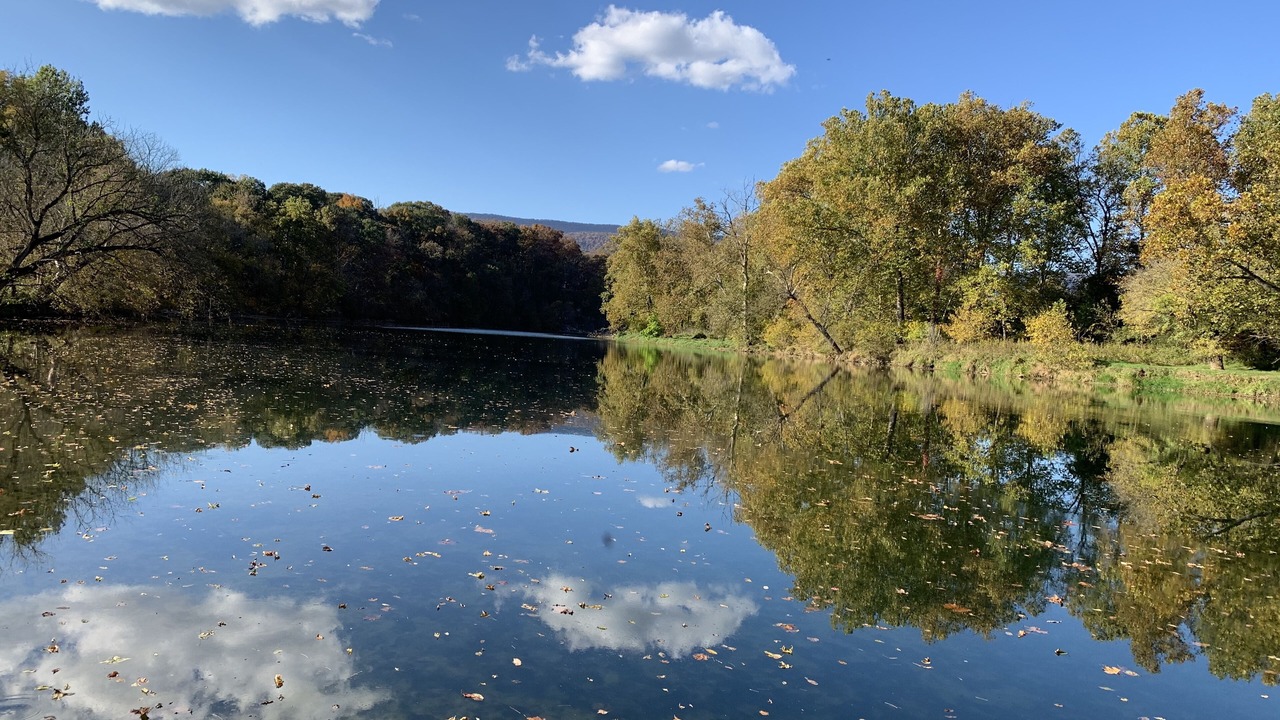 Photo of Outdoor in Shenandoah