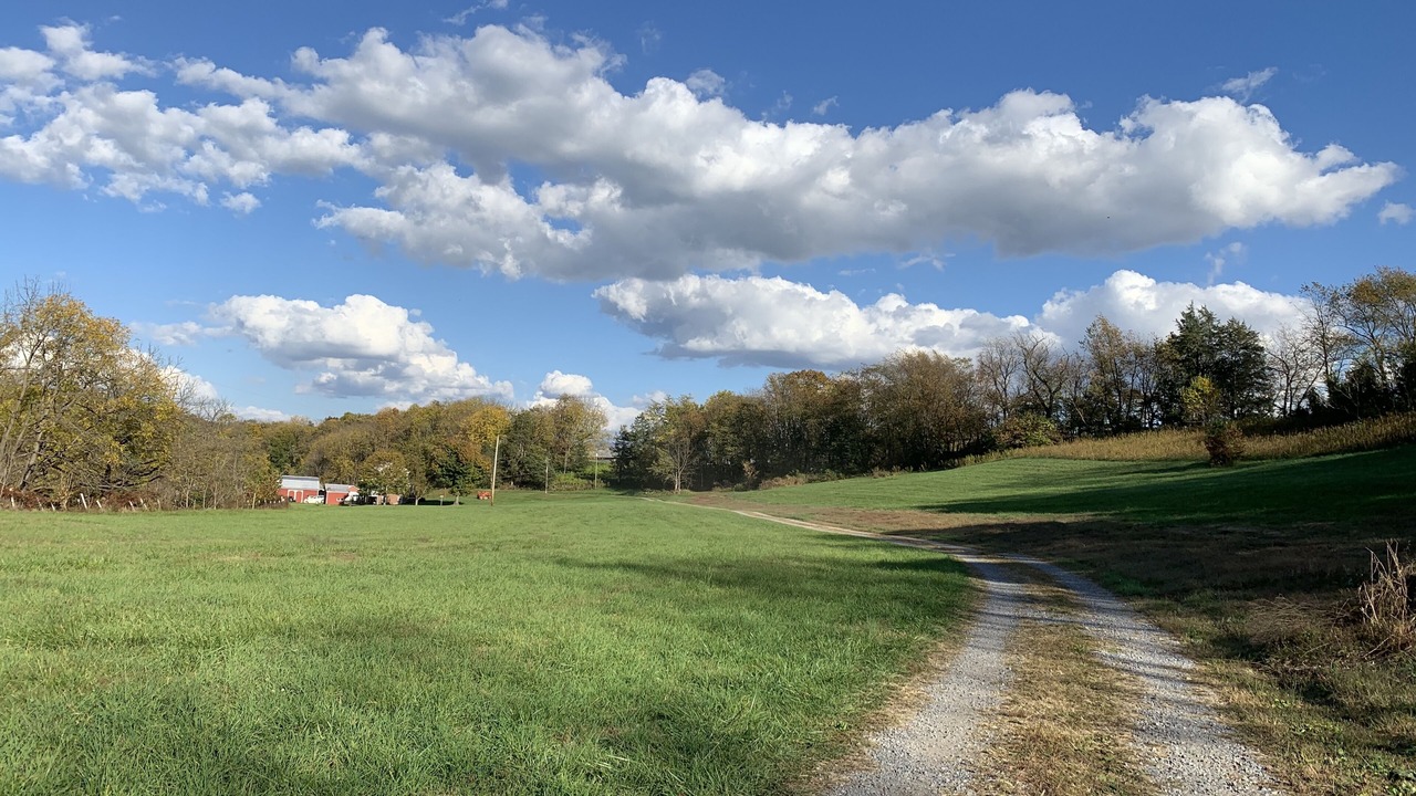 Photo of Others in Shenandoah