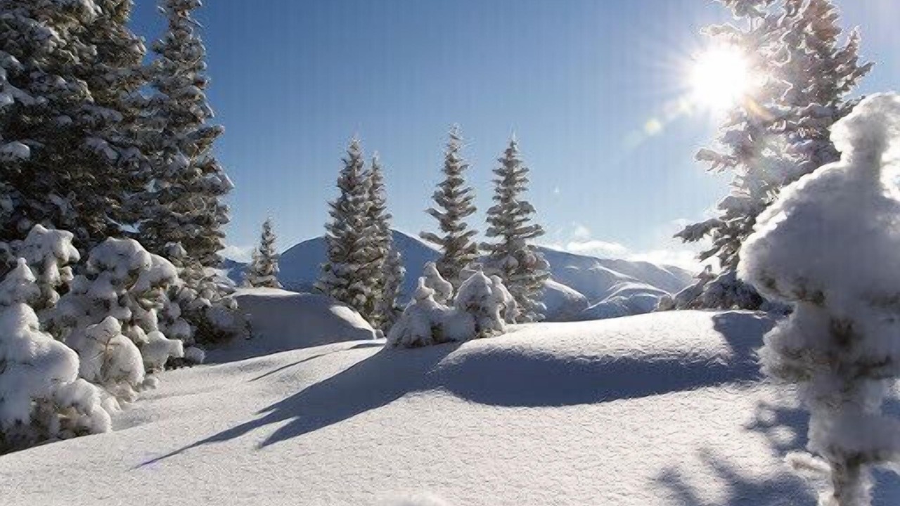 Photo of Others in Winter Park