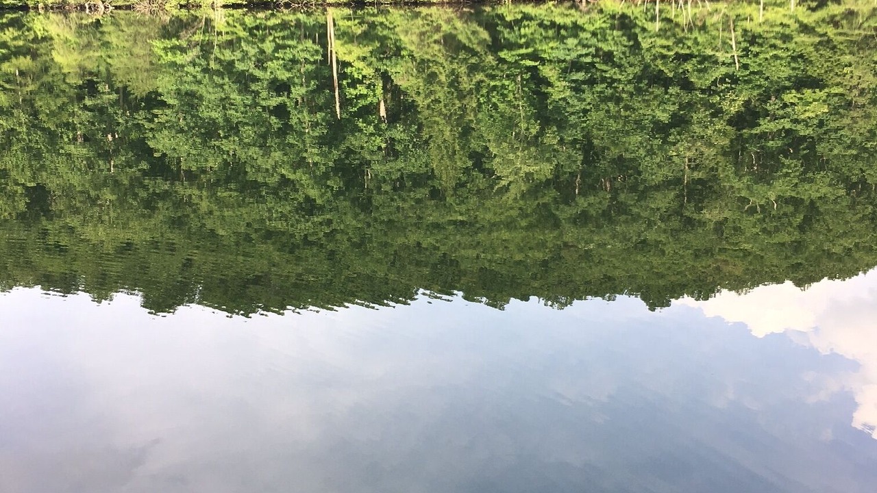 Photo of Outdoor in Pittsburg