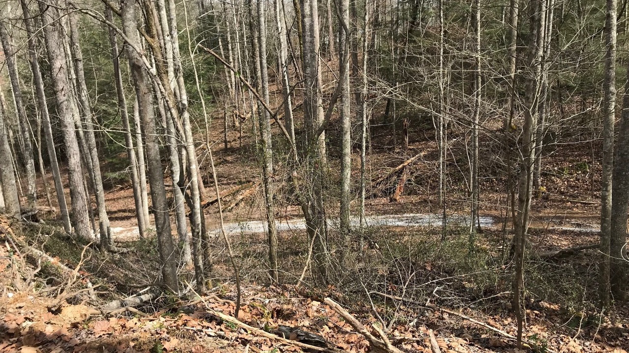Photo of Outdoor in Pittsburg