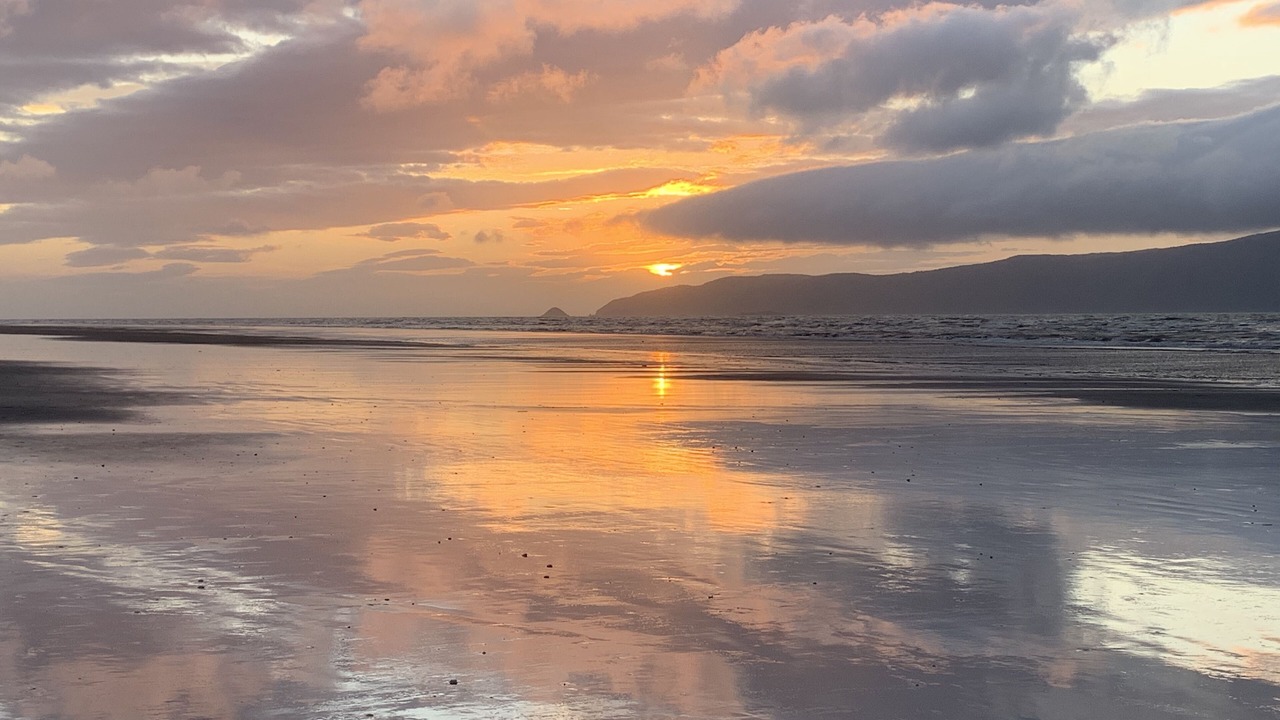 Photo of Others in Paraparaumu Beach