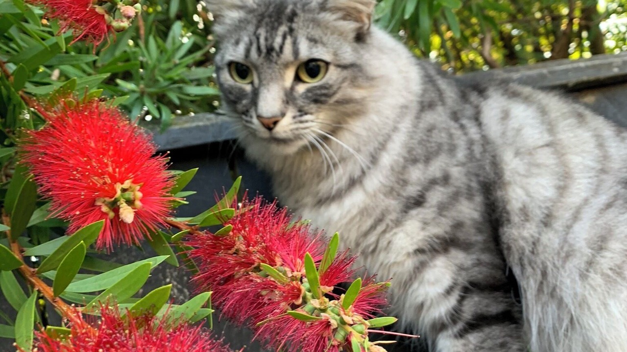 Photo of Outdoor in Paraparaumu Beach