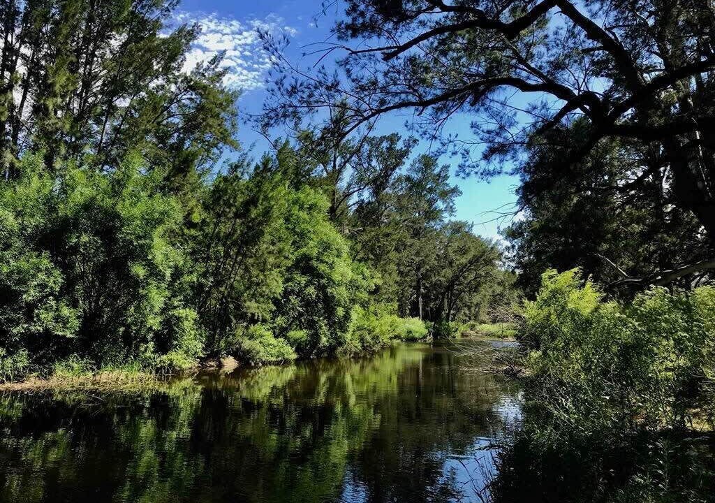 Photo of Others in Kanimbla