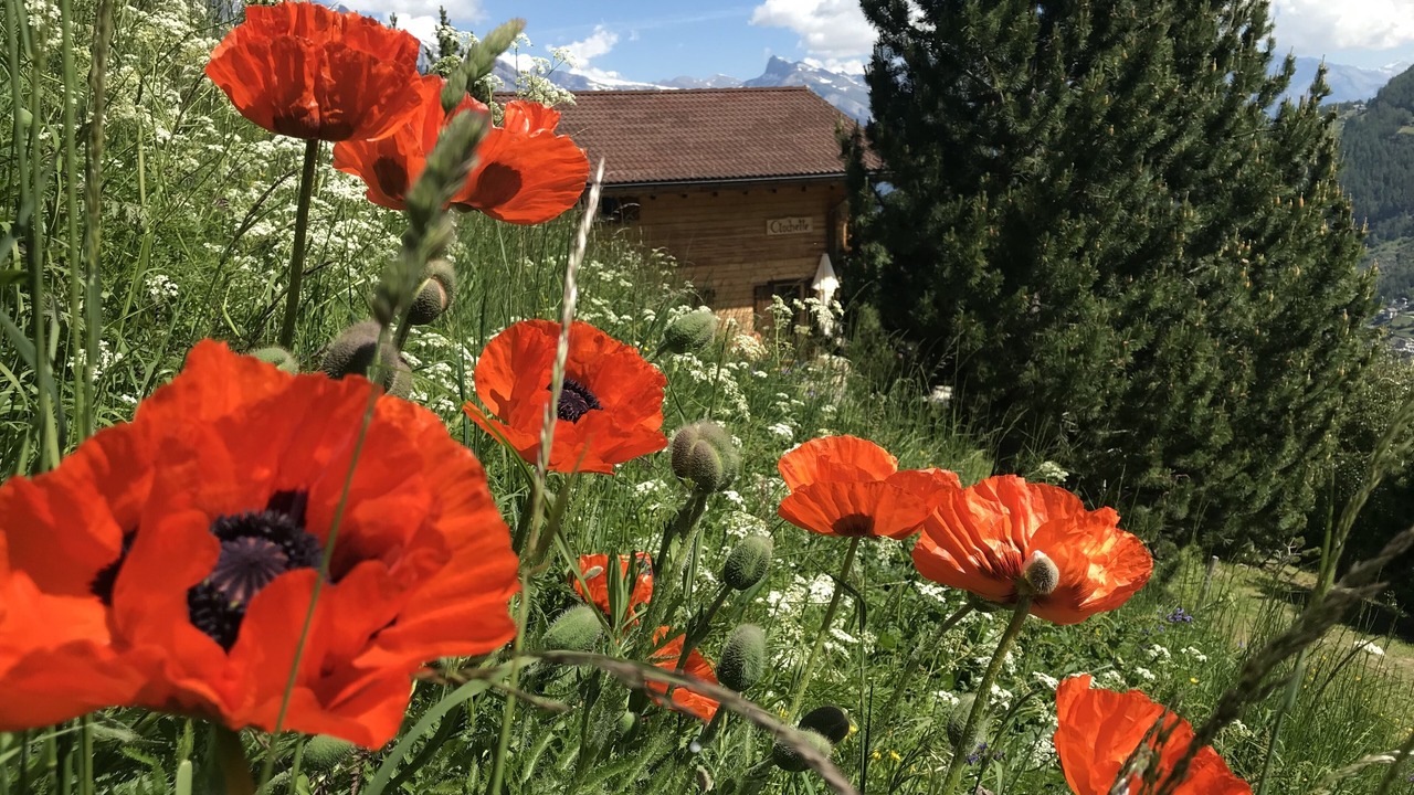 Photo of Outdoor in Mayens-de-Riddes