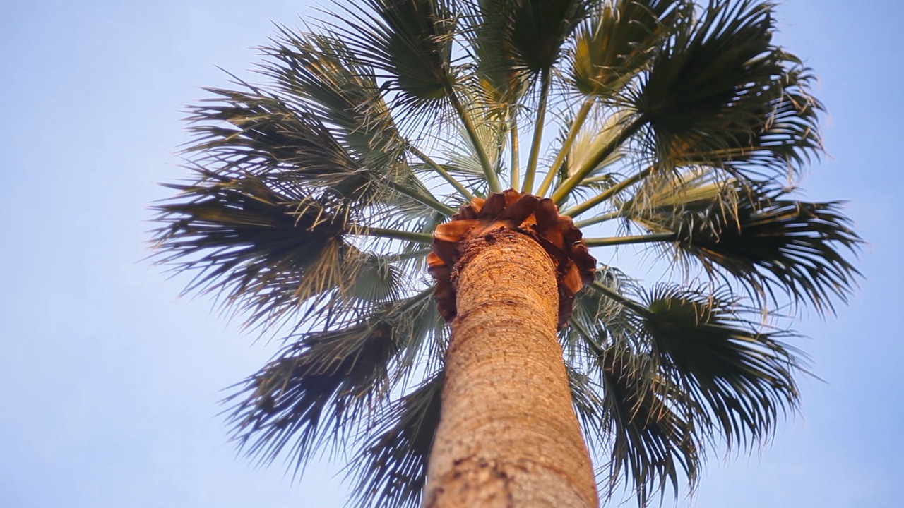 Photo of Others in Sun City