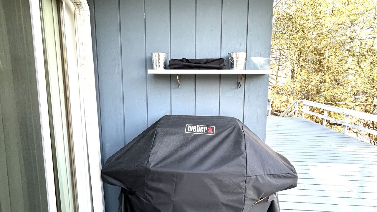 Photo of Outdoor in Forest Dale