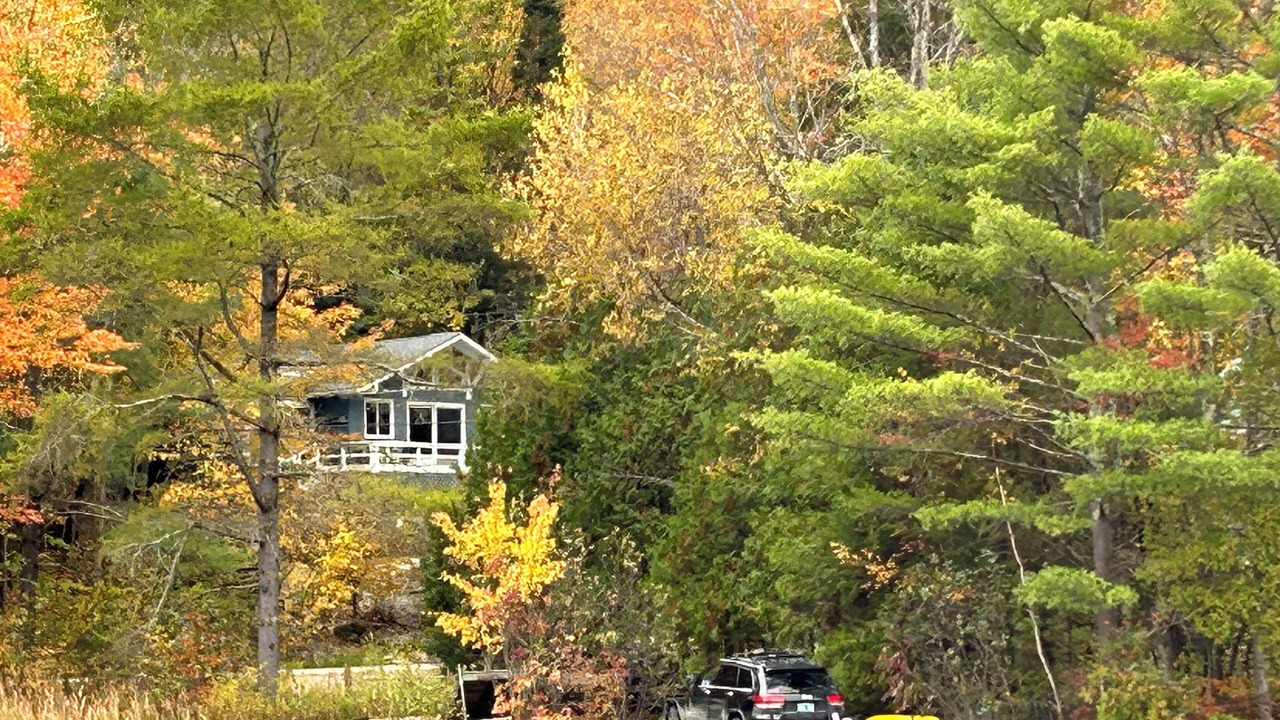 Photo of Outdoor in Forest Dale